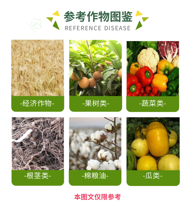 天津汉邦20%三唑锡红白蜘蛛叶螨柑橘树蔬菜专用杀螨剂