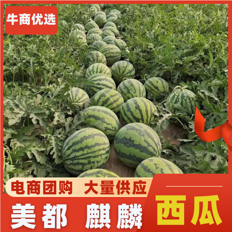 云南美都西瓜，瑞丽美都西瓜，盈江美都麒麟西瓜，商超档口