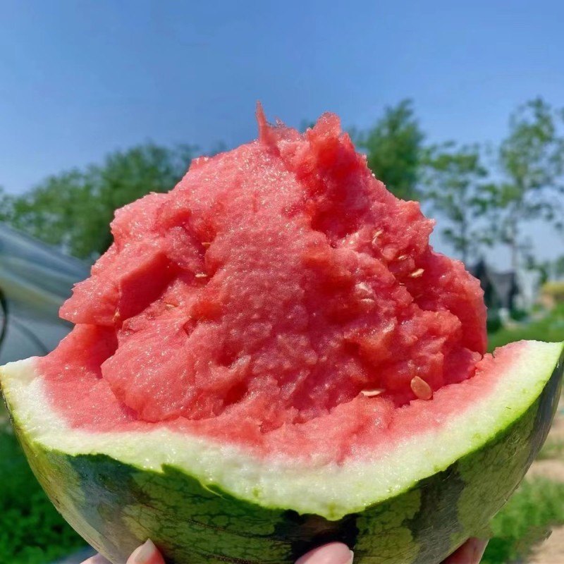 云南美都西瓜，瑞丽美都西瓜，盈江美都麒麟西瓜，商超档口