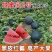 景蜜宝2号西瓜种子特大黑皮西瓜种子高糖抗重茬高产大红瓤西