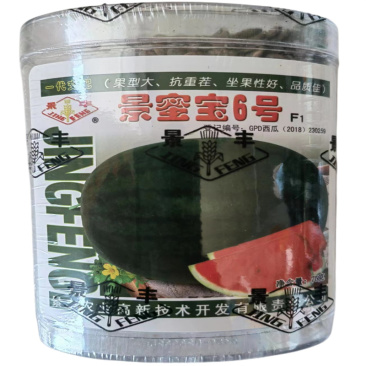景蜜宝6号西瓜种子抗重茬中熟墨绿色花皮大红瓤西瓜种子