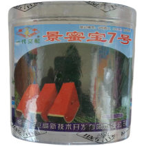 景蜜宝7号西瓜种子抗重茬墨绿皮西瓜种子中早熟花皮大红瓤