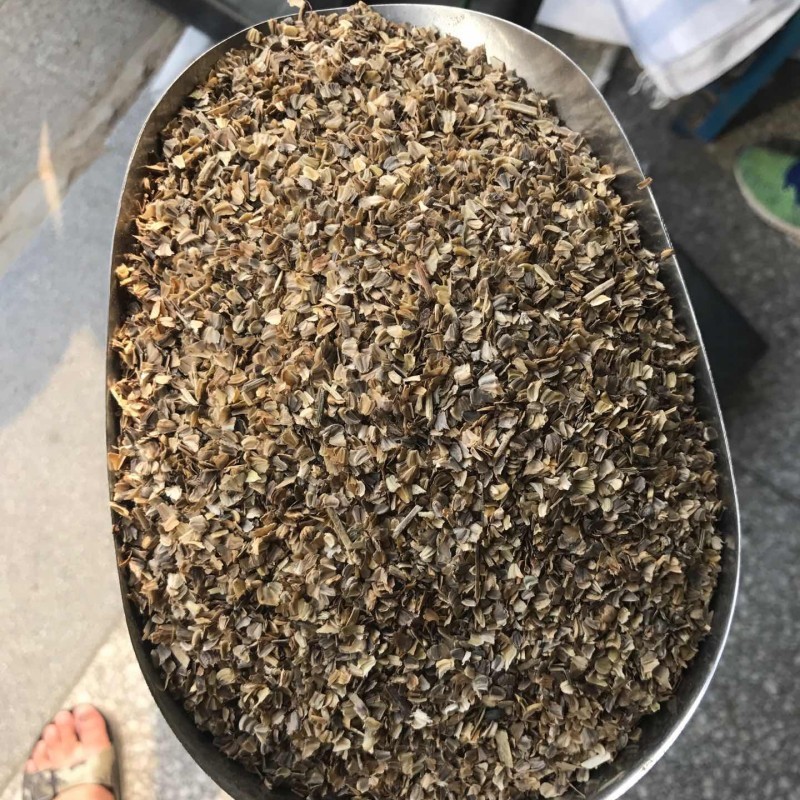 花环菊种子三色菊花种子混色花海花籽花种籽包邮四季易活耐
