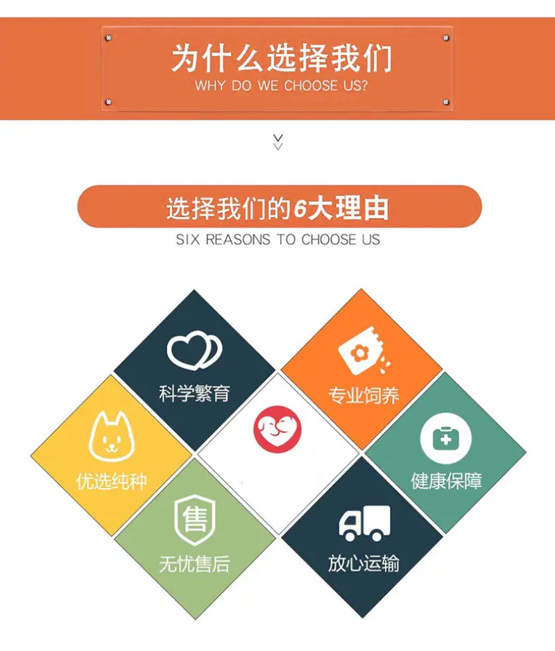 金毛犬萌宠检疫合格一个也发货可看货价格可商量