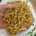 云南金银花现货批发干金银花无沫大货供应