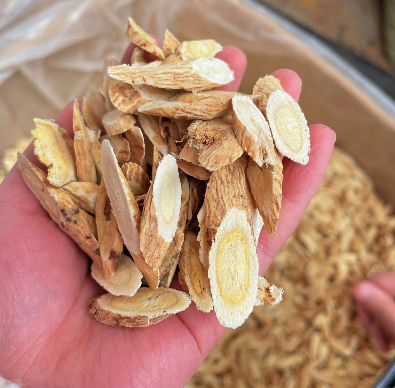黄芪现货供应批发中斜片黄芪量大从优发货快