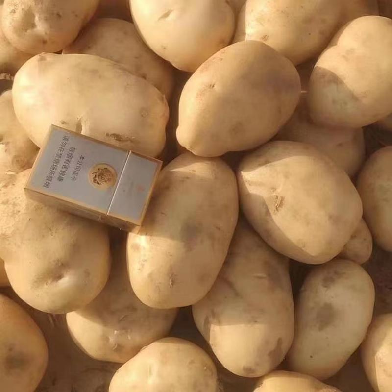 土豆大量上市，规格可选，量大从优，欢迎电话订购