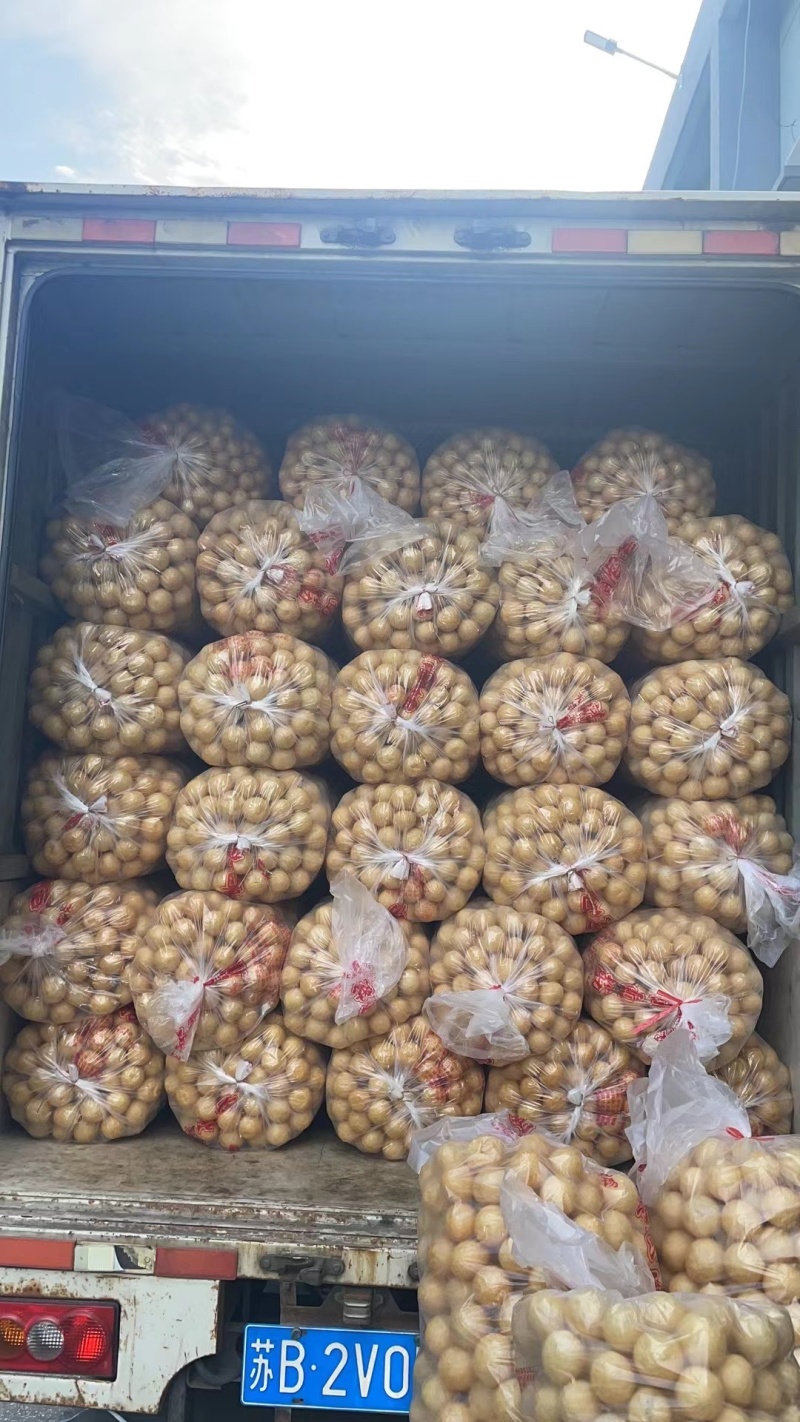 油面筋江苏油面筋串串香麻辣烫火锅油面筋批发优惠！