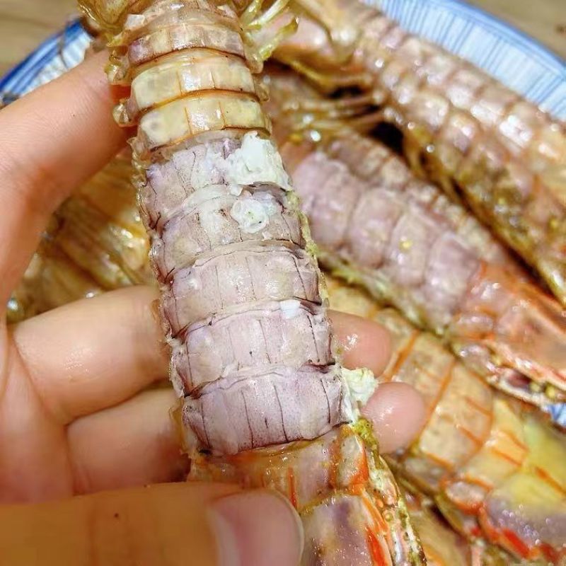 黄海近海特产皮皮虾一件代发包邮到家品质保证产地一手货源