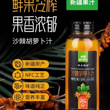 新疆沙棘胡萝卜汁域上物语鲜果冷榨260ML*8瓶