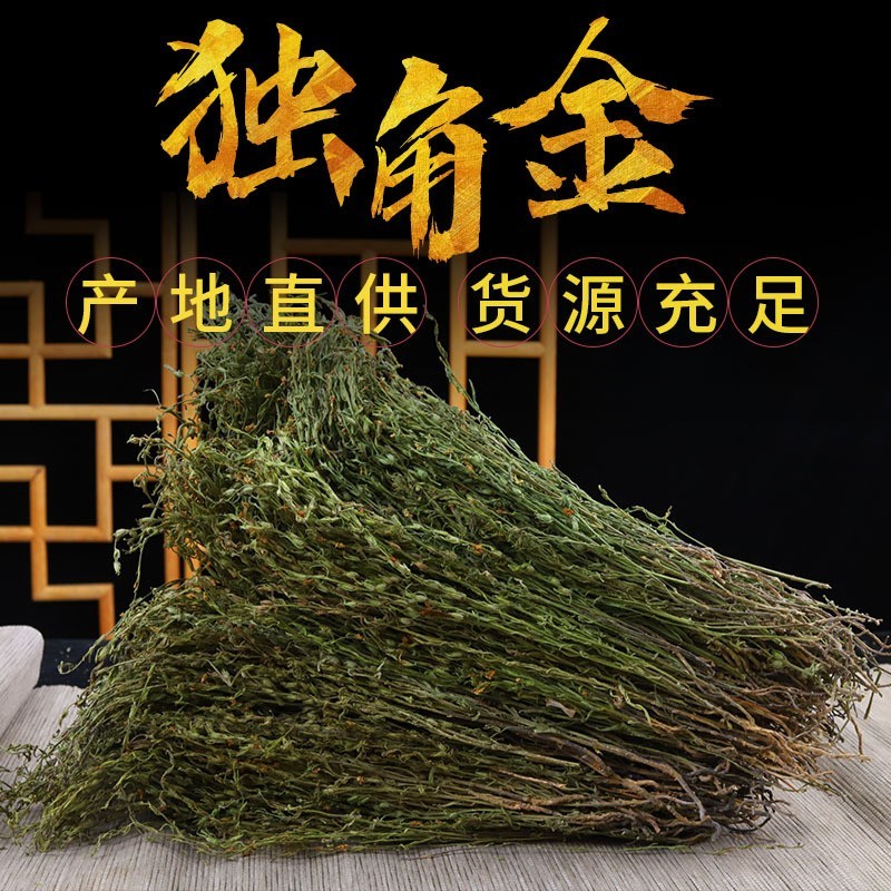 独脚金20-25公分颜色青绿新鲜采摘疳积草独角金批发
