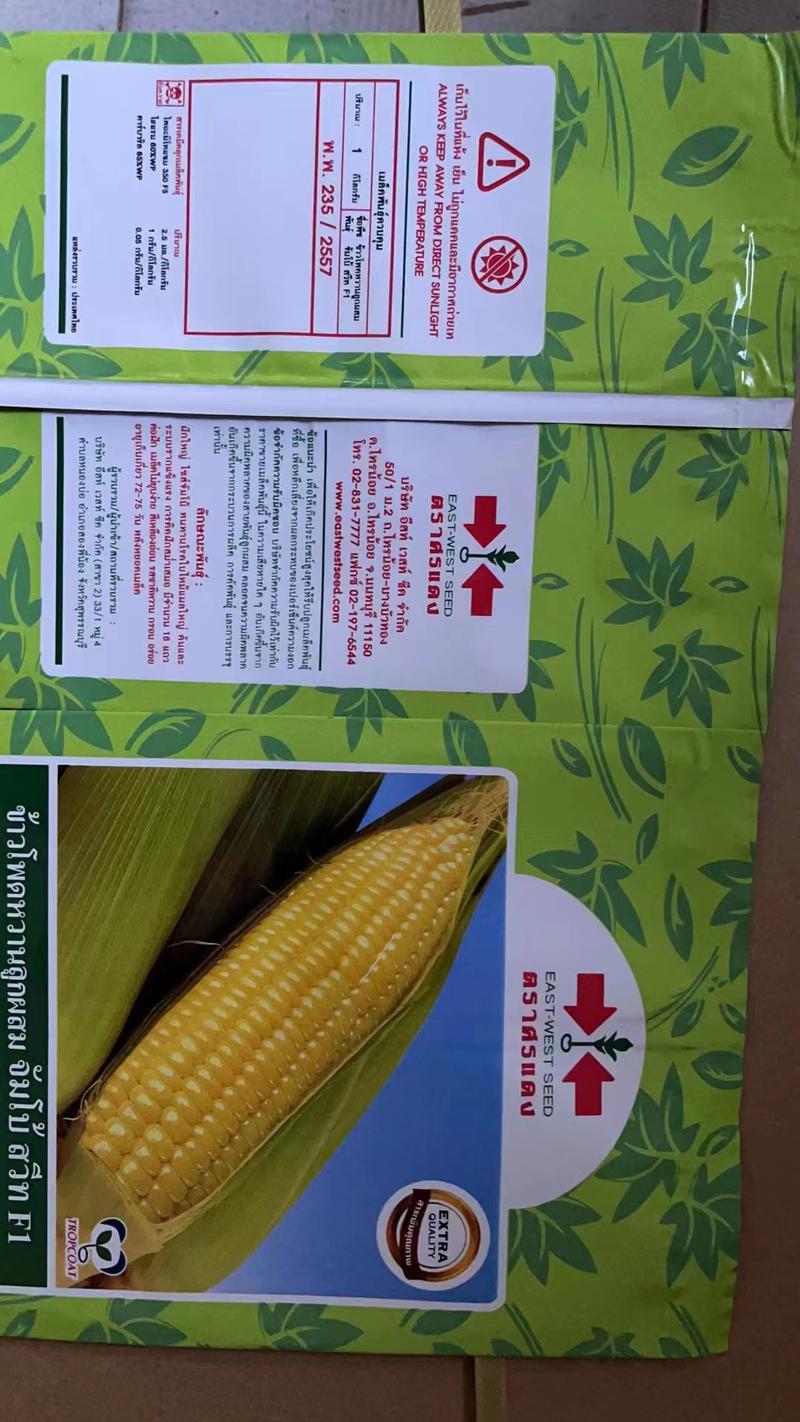 精品玉米种子基地直供一手货源品质保证诚信经营欢迎采购