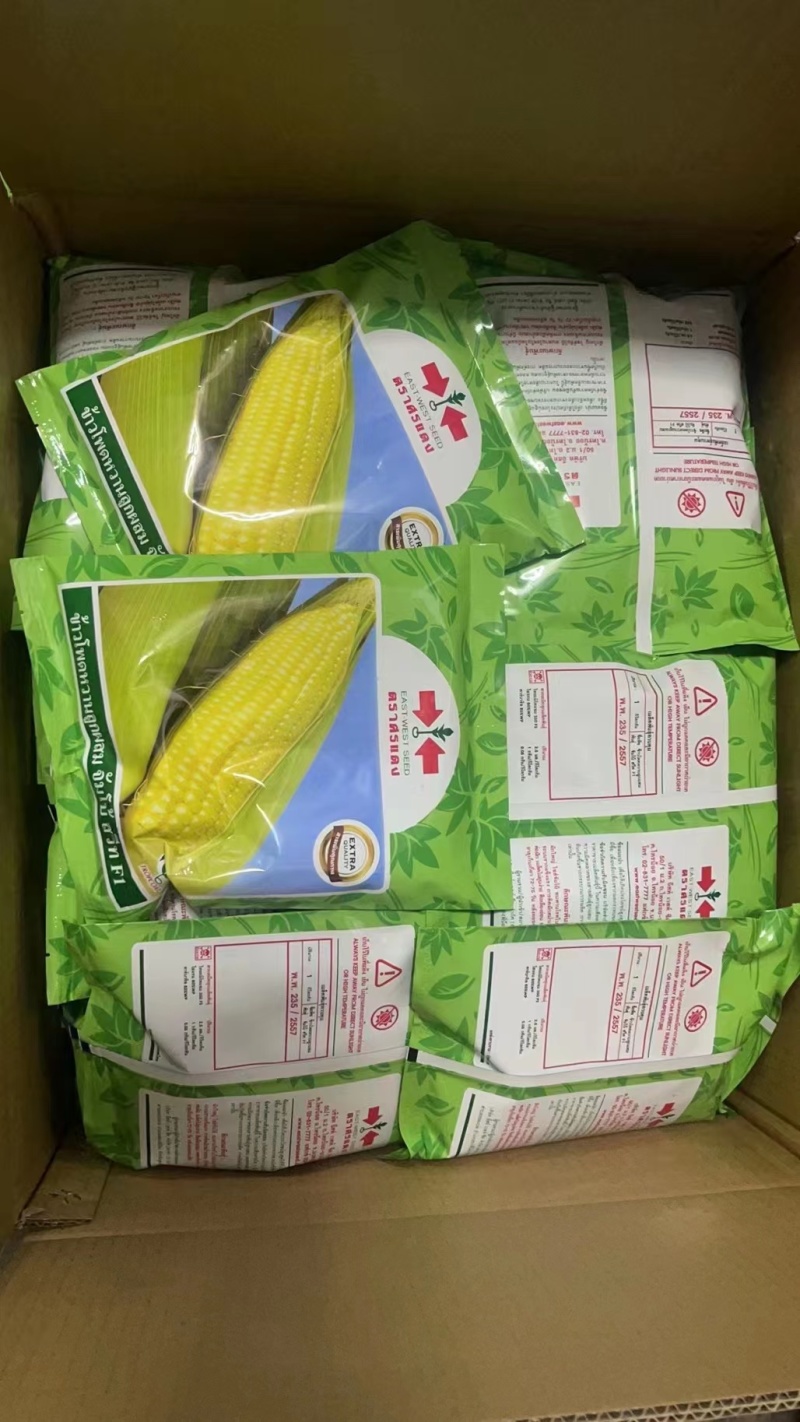 精品玉米种子基地直供一手货源品质保证诚信经营欢迎采购