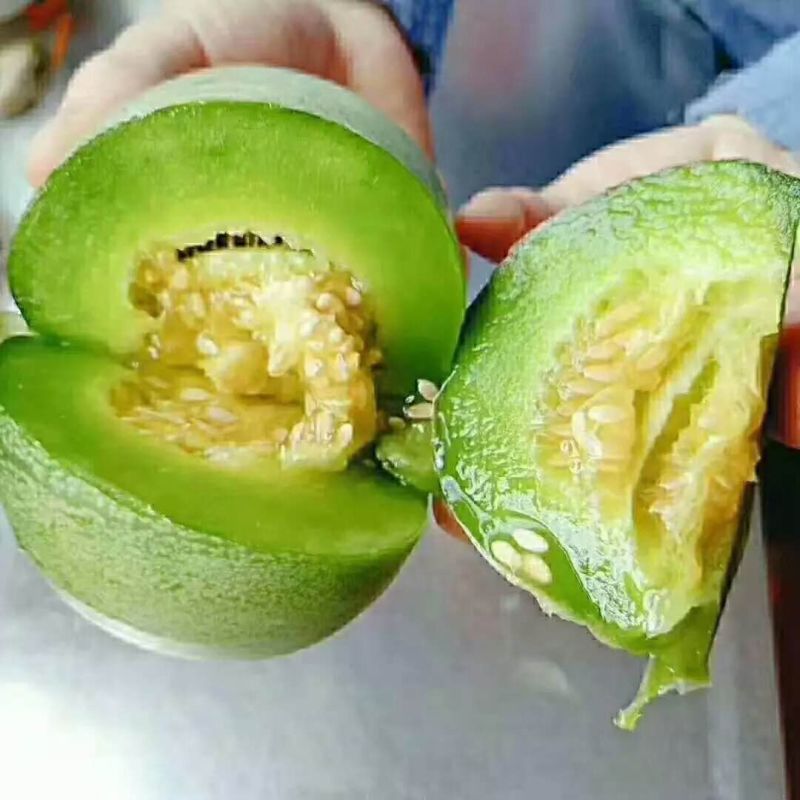 山东绿宝甜瓜代发3斤新鲜脆甜头茬孕妇水果甜瓜