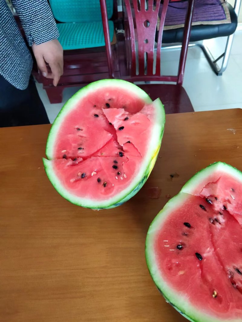 精品山东聊城甜王西瓜保熟保甜货源稳定欢迎咨询