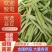 优质大棚***无公白花芸豆己大量上市，欢迎新老客户采购