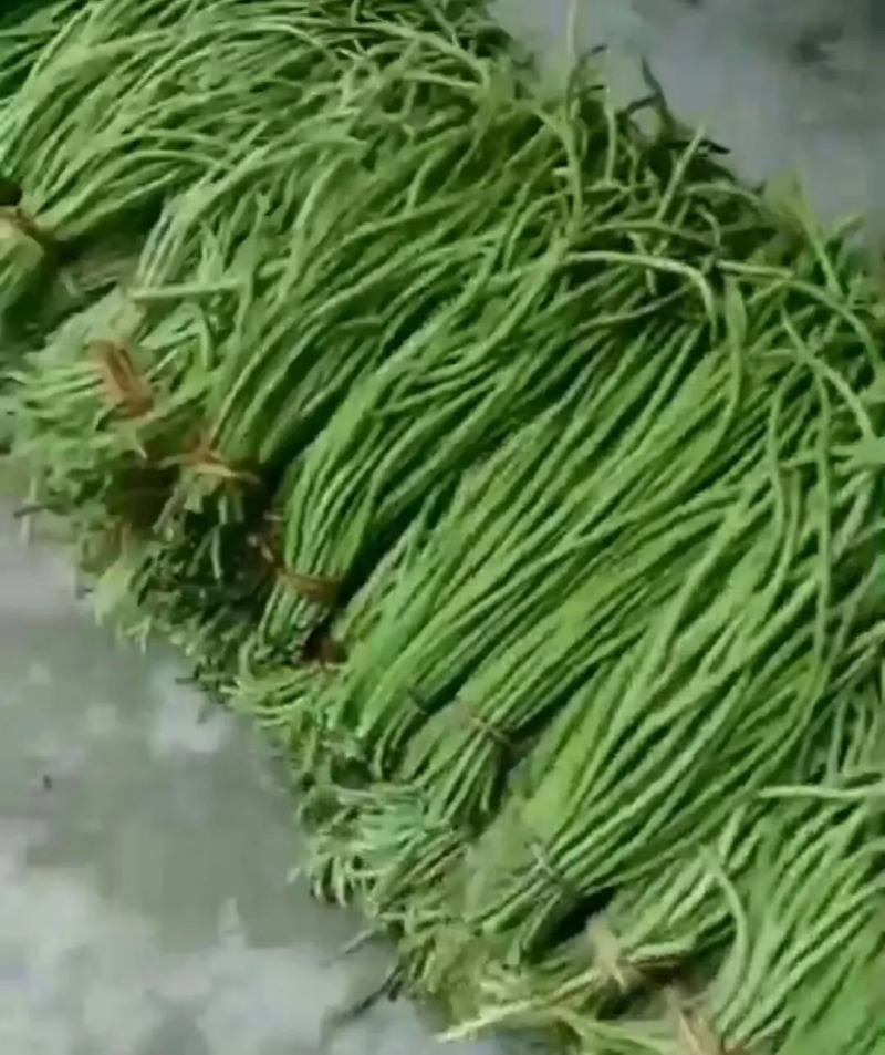 优质豆角品质保证豆条均匀对接电商市场商超等各类