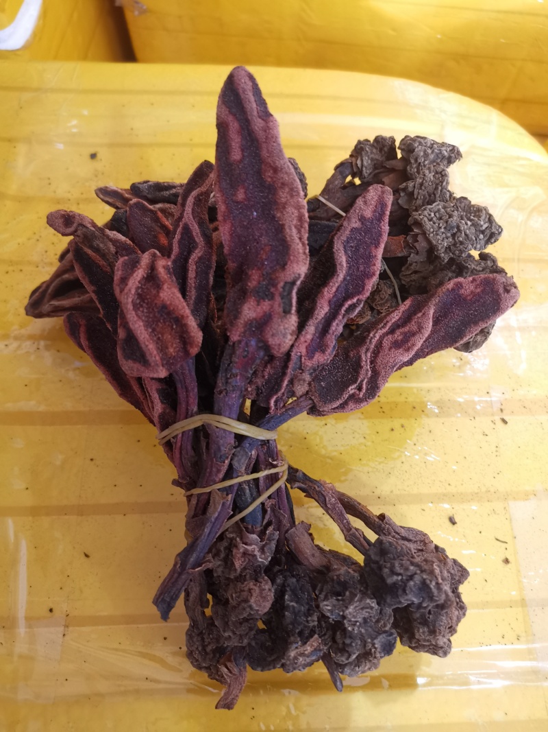 云南回春草不老草泡水顶天柱干货大货批发量大价优
