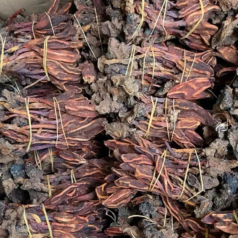 云南回春草不老草泡水顶天柱干货大货批发量大价优