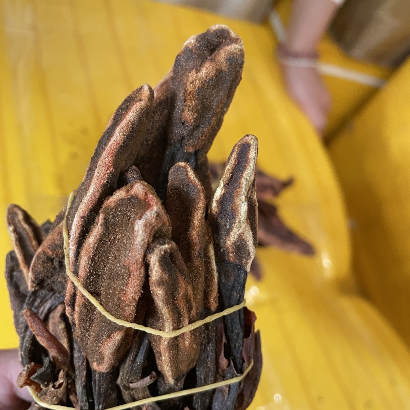 云南回春草不老草泡水顶天柱干货大货批发量大价优