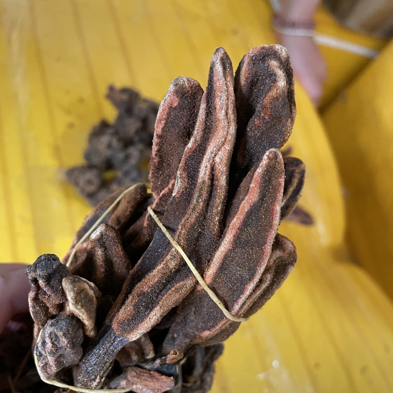 云南回春草不老草泡水顶天柱干货大货批发量大价优