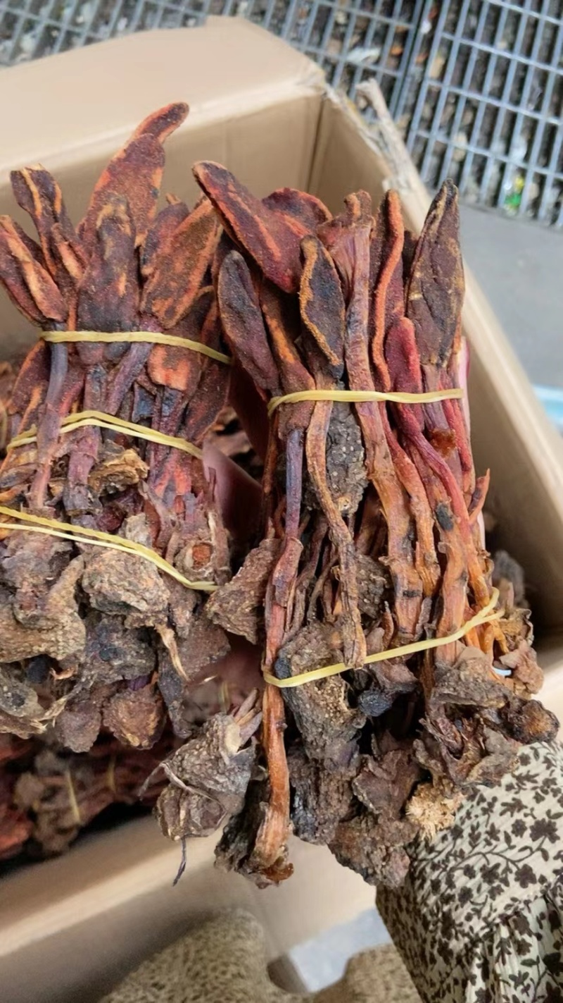 云南回春草不老草泡水顶天柱干货大货批发量大价优