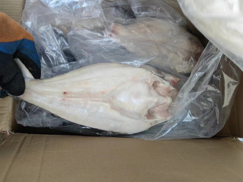 【牛商优选】开背巴沙鱼进口原条鱼一手货源对接餐厅欢迎选购