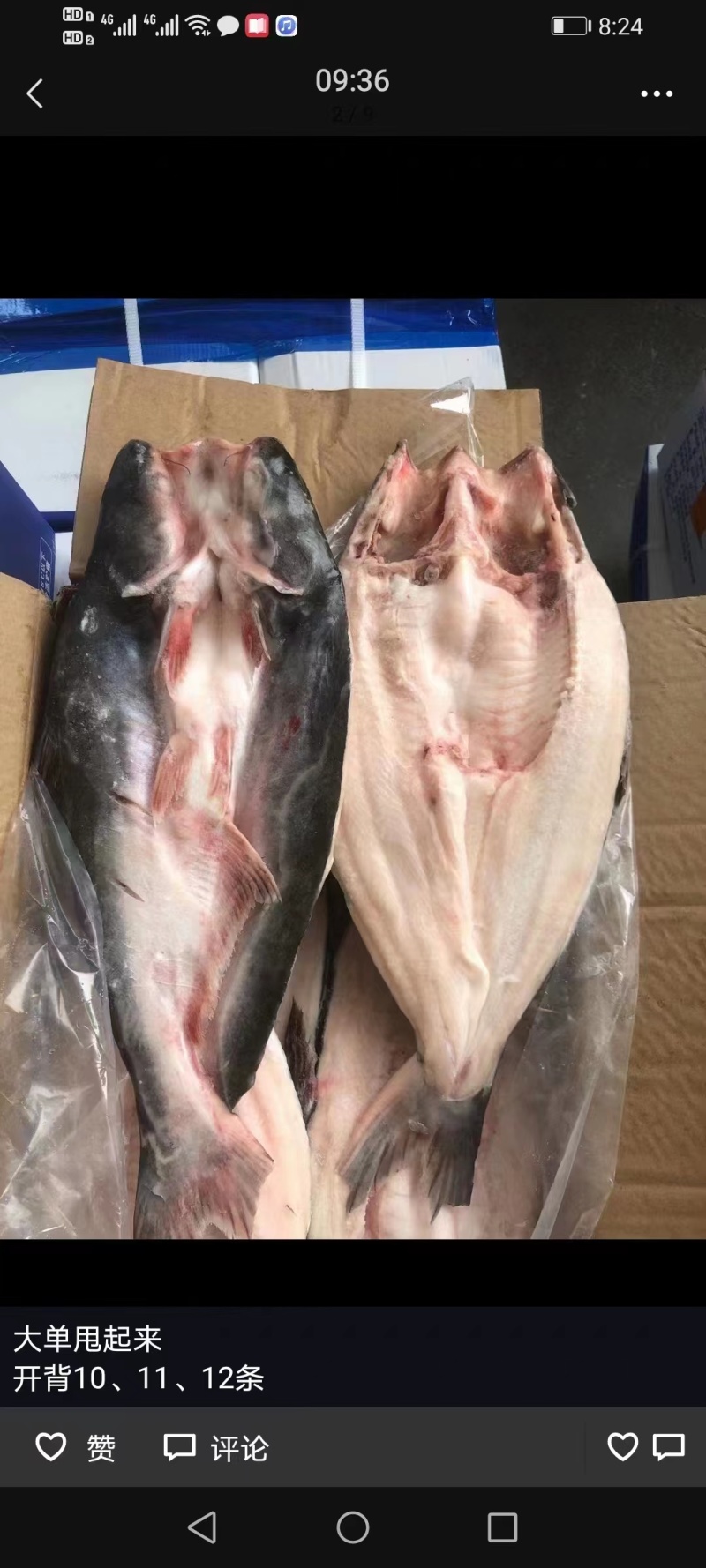 【牛商优选】开背巴沙鱼进口原条鱼一手货源对接餐厅欢迎选购
