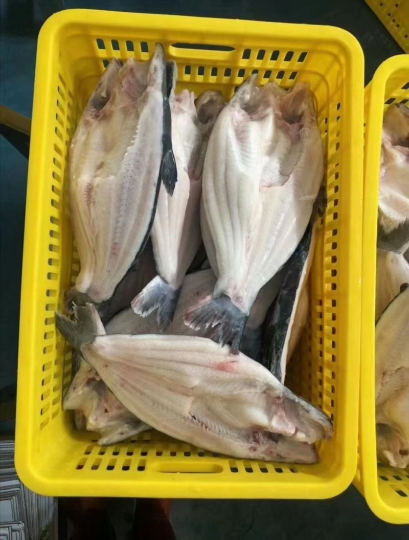 【牛商优选】开背巴沙鱼进口原条鱼一手货源对接餐厅欢迎选购