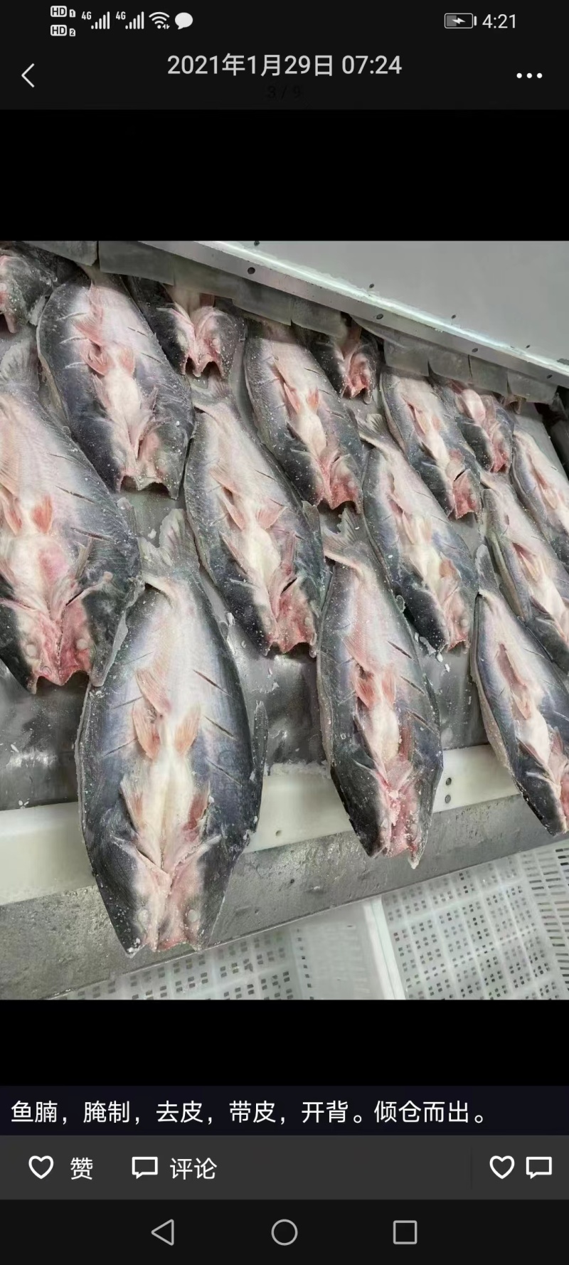 【牛商优选】开背巴沙鱼进口原条鱼一手货源对接餐厅欢迎选购