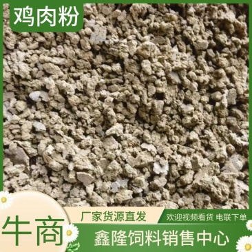 鸡肉粉肉粉替代饲料厂家货源货量大质量保证电联
