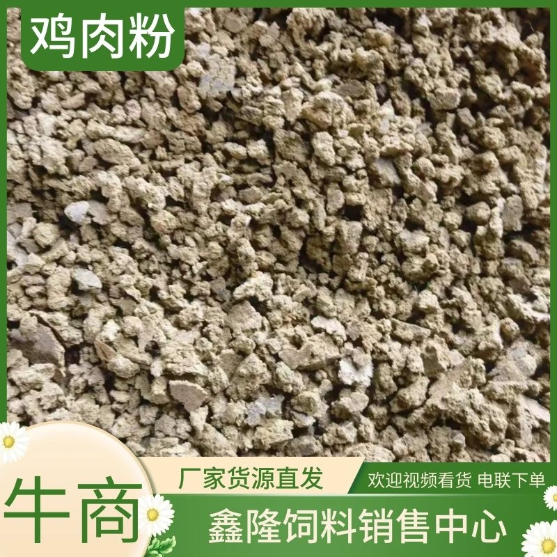 鸡肉粉肉粉替代饲料厂家货源货量大质量保证电联