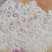 本草银耳免洗免煮冲泡即食银耳现货批发量大价优本草银耳