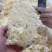 本草银耳免洗免煮冲泡即食银耳现货批发量大价优本草银耳