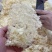 本草银耳免洗免煮冲泡即食银耳现货批发量大价优本草银耳
