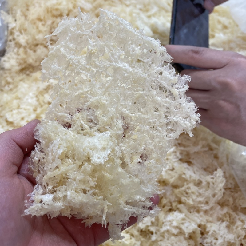 本草银耳免洗免煮冲泡即食银耳现货批发量大价优本草银耳
