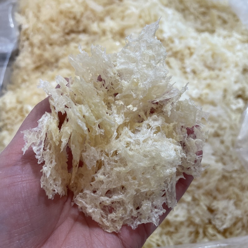 本草银耳免洗免煮冲泡即食银耳现货批发量大价优本草银耳