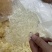 本草银耳免洗免煮冲泡即食银耳现货批发量大价优本草银耳