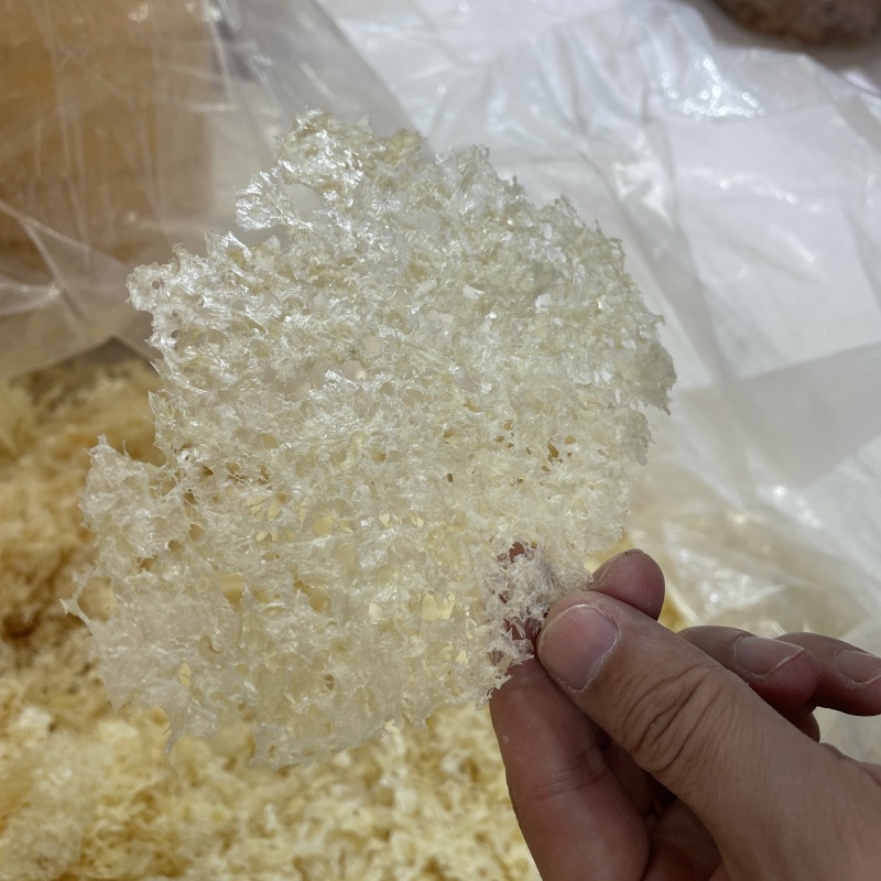 本草银耳免洗免煮冲泡即食银耳现货批发量大价优本草银耳