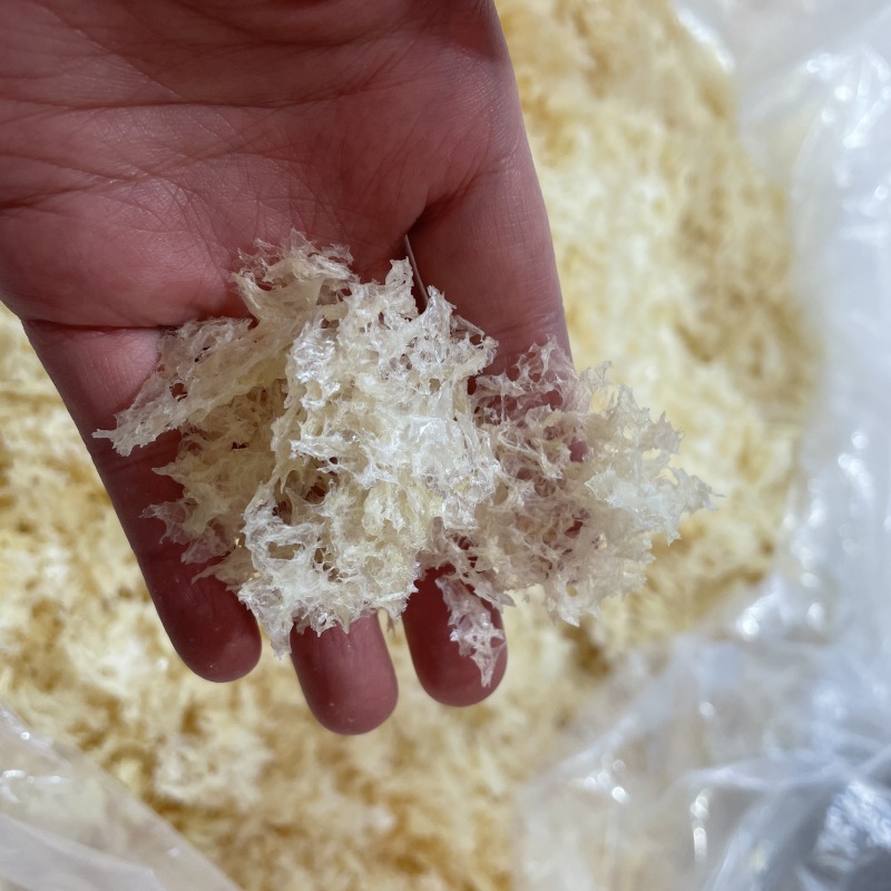 本草银耳免洗免煮冲泡即食银耳现货批发量大价优本草银耳
