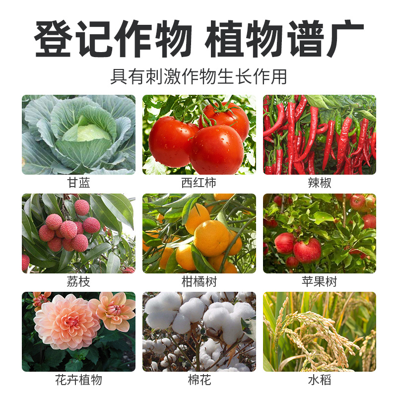 农药乙蒜素真菌细菌根腐病青枯萎病柑橘树青苔蔬菜果树正品杀