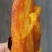 精品红薯苗蜜薯苗甜度高抗病性强高产欢迎咨询