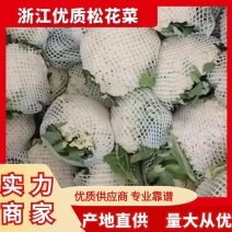 白面青梗松花菜机温州菜花，个头小花面白，松花菜支持代发