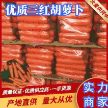 【实力】胡萝卜精品三红胡萝卜各种规格按需包装直供电商