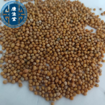 白芥子干净无杂质新货白芥子批发各种中药材规格齐全