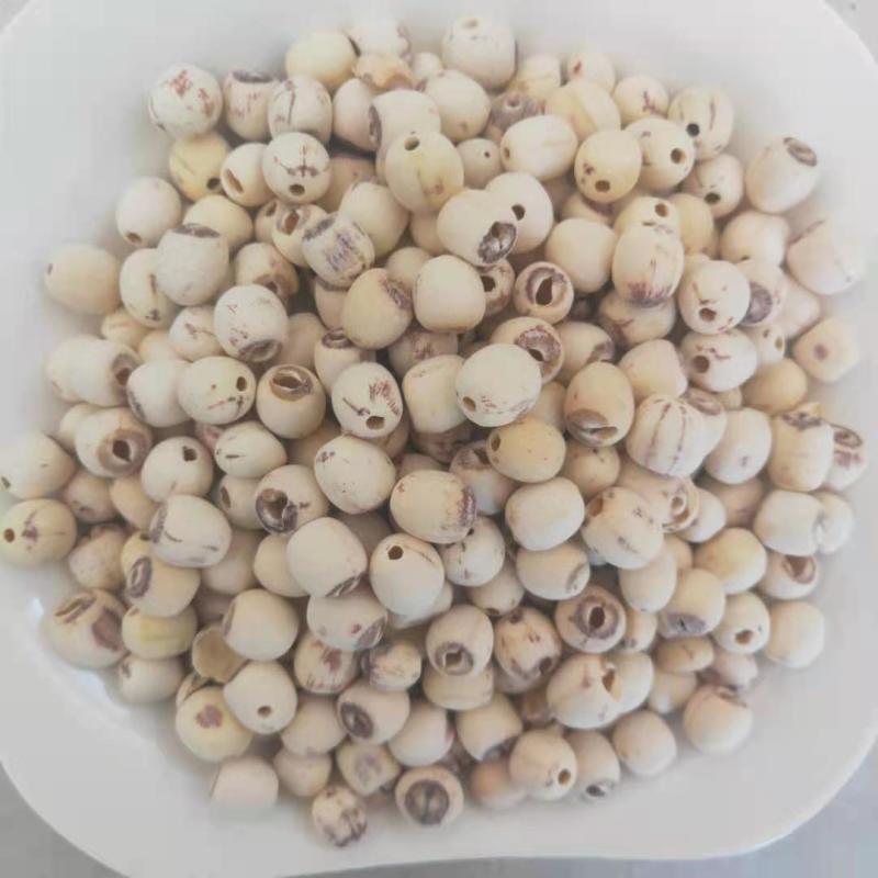 莲子去芯无硫磨皮白莲子新货江西产中药材批发供应