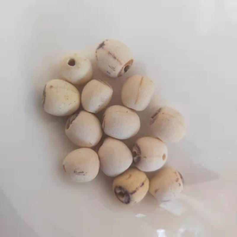 莲子去芯无硫磨皮白莲子新货江西产中药材批发供应