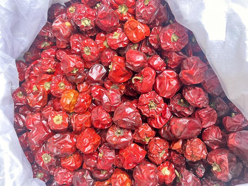 灯笼椒灯笼椒草莓椒干辣椒量大从优质量保证！