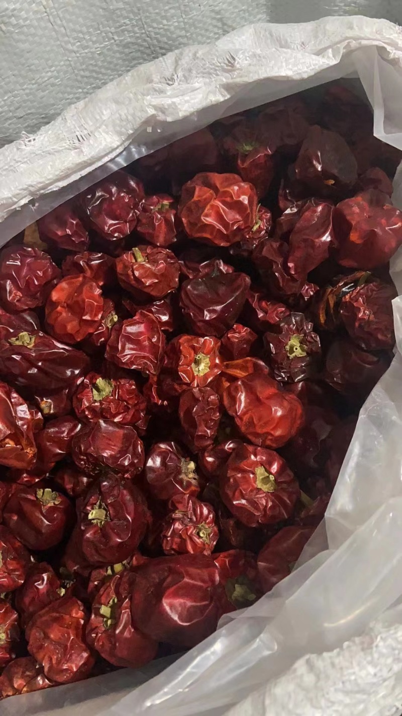 灯笼椒灯笼椒草莓椒干辣椒量大从优质量保证！