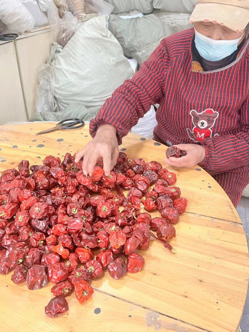 灯笼椒灯笼椒草莓椒干辣椒量大从优质量保证！